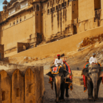 Elephant ride at Amber Fort in Jaipur with traditional mahouts and historic fort walls in the background.