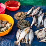 Fresh seafood market Fort Kochi local culture Cochin heritage tour experience