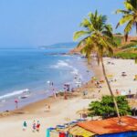 Palm-lined Candolim Beach Goa with clear blue water and sandy shoreline